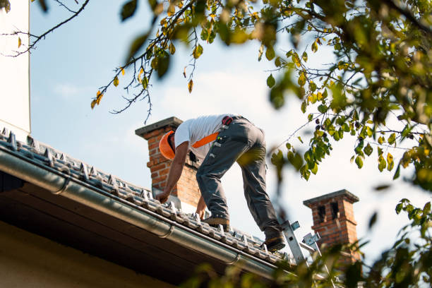 Best Slate Roofing Contractor  in Rochester Hills, MI